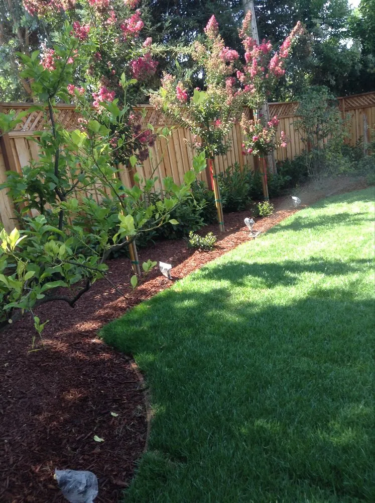 Top-rated garden landscaping experts serving Campbell, CA - Imperial Tree