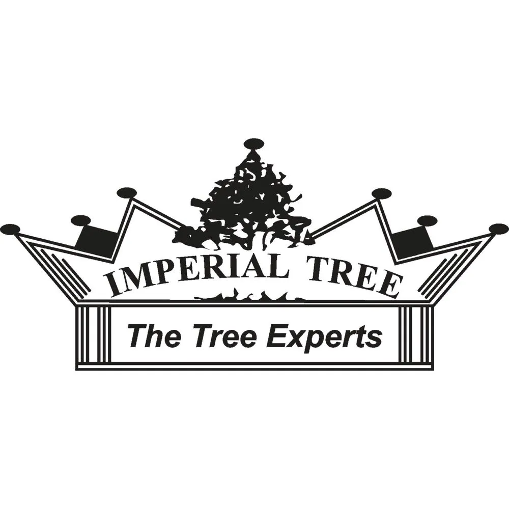 Local landscape installation in Campbell, CA - Imperial Tree