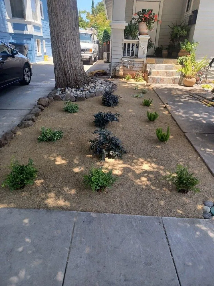 Reliable lawn mowing service experts serving Campbell, CA - Imperial Tree