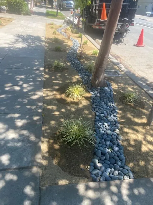 Professional lawn care service in Campbell, CA by Imperial Tree