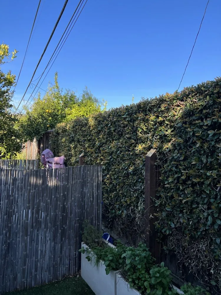 Affordable garden landscaping experts serving Campbell, CA - Imperial Tree