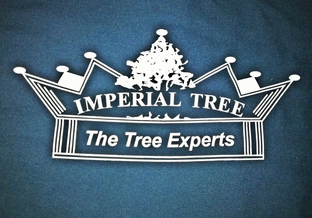 Custom yard maintenance experts serving Campbell, CA - Imperial Tree