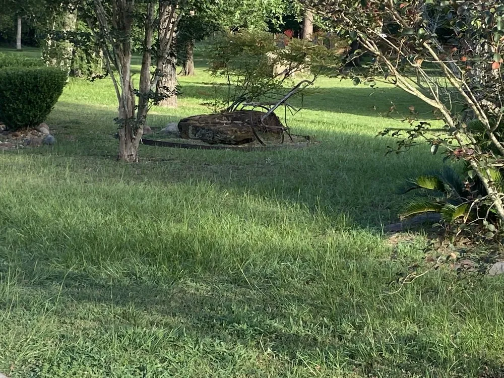 Custom yard maintenance in Navasota, TX - Imperial Turf