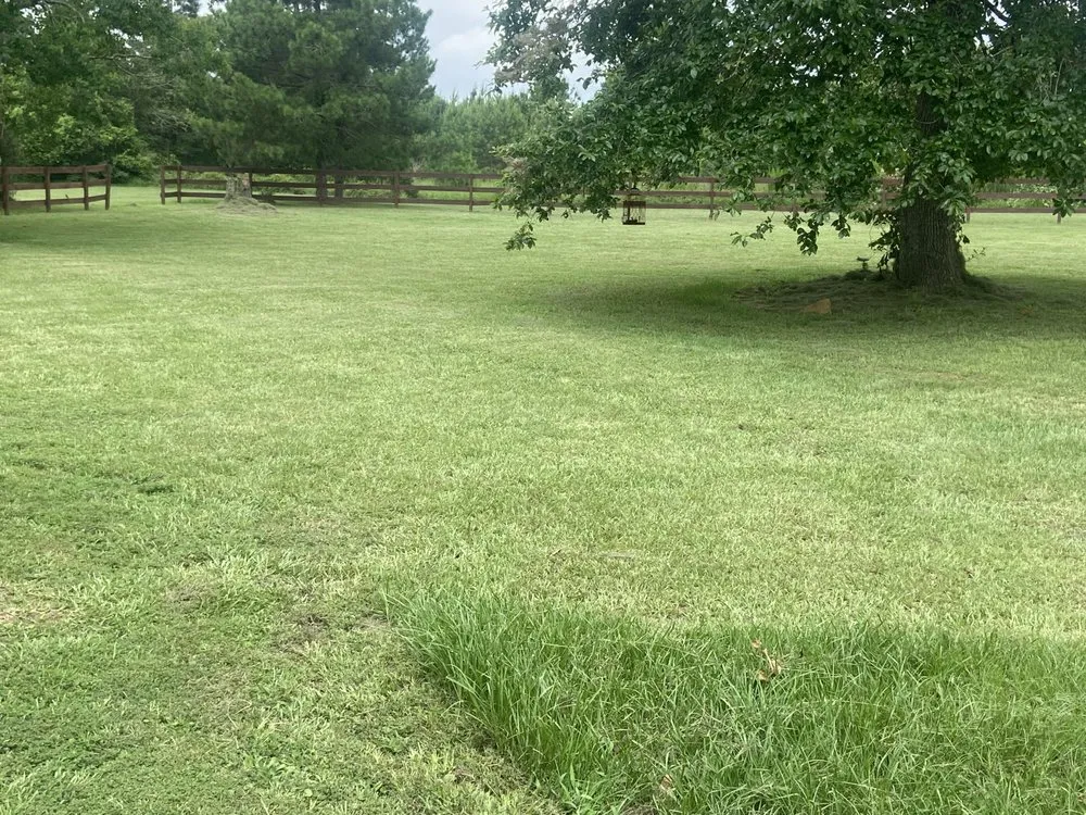 Top-rated yard cleanup service experts serving Navasota, TX - Imperial Turf