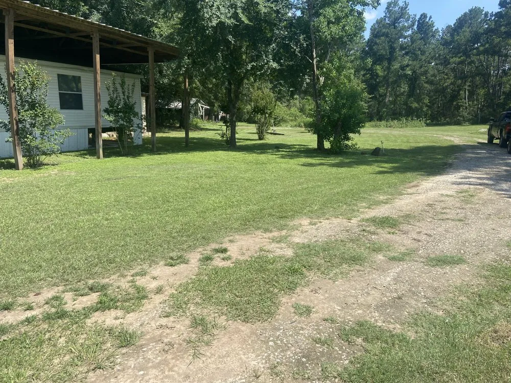 Affordable yard cleanup service in Navasota, TX by Imperial Turf