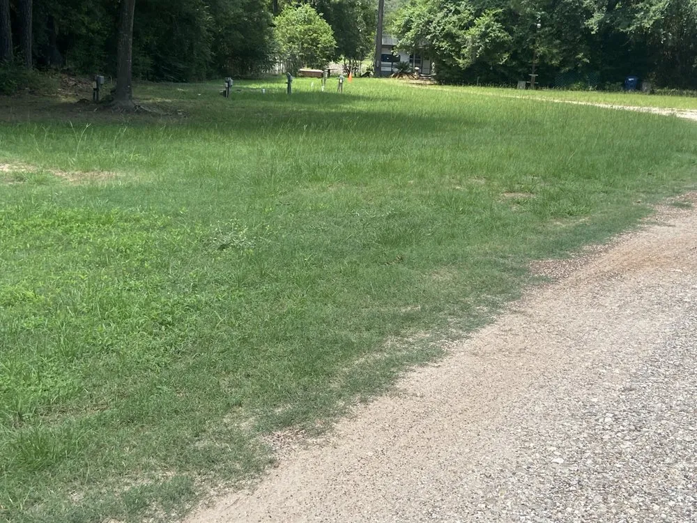 Professional residential landscaping for homes across Navasota, TX - Imperial Turf