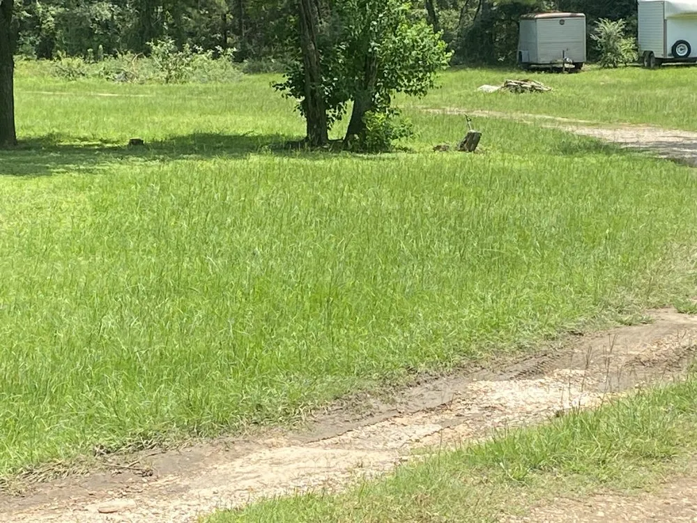 Custom yard maintenance for beautiful yards in Navasota, TX by Imperial Turf