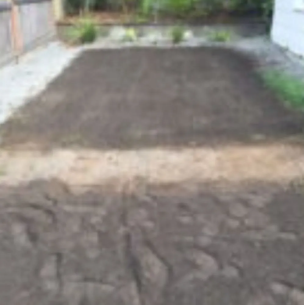 Affordable yard cleanup service in Winterhaven, CA - Imperial Yard Services