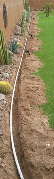 Trusted lawn care service in Winterhaven, CA - Imperial Yard Services