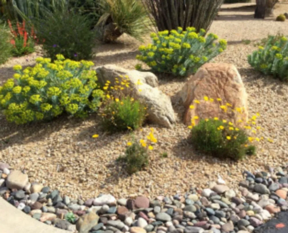 Expert lawn mowing service in Winterhaven, CA - Imperial Yard Services