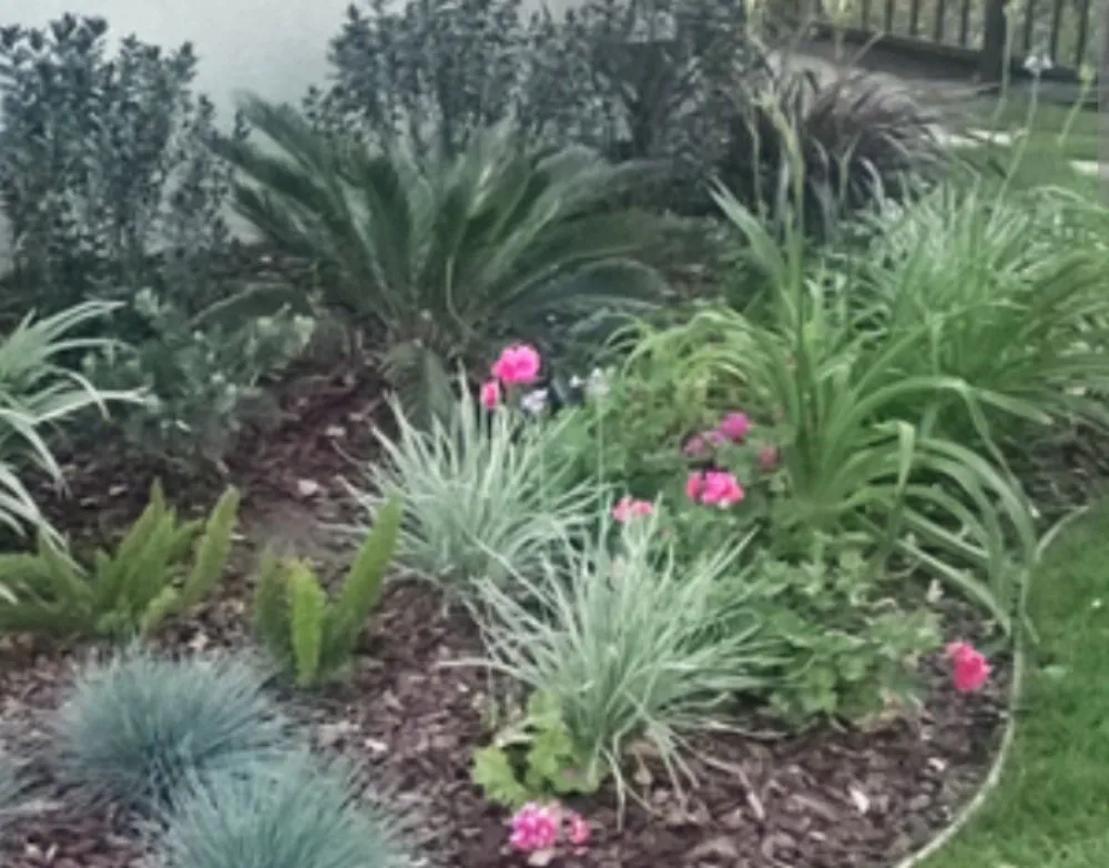 Affordable garden landscaping for year-round maintenance across Winterhaven, CA - Imperial Yard Services
