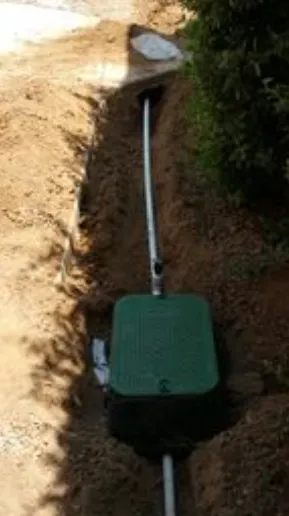 Professional yard cleanup service in Winterhaven, CA by Imperial Yard Services