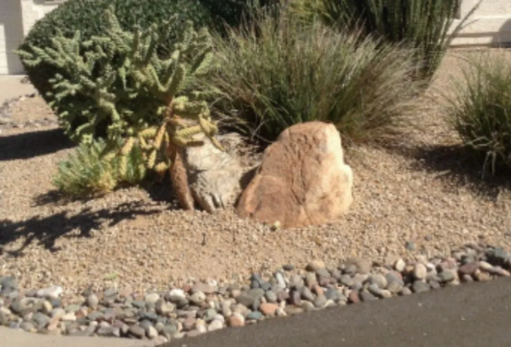 Custom outdoor landscaping for outdoor upgrades in Winterhaven, CA by Imperial Yard Services