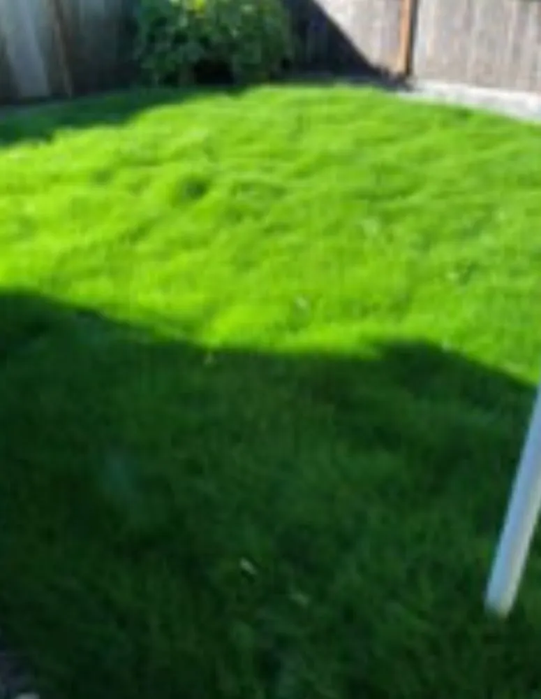Affordable lawn care service near you in Winterhaven, CA by Imperial Yard Services