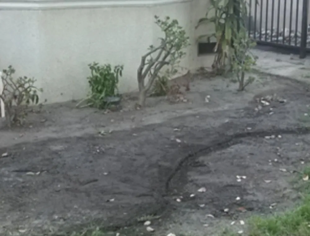 Affordable lawn care service experts serving Winterhaven, CA - Imperial Yard Services