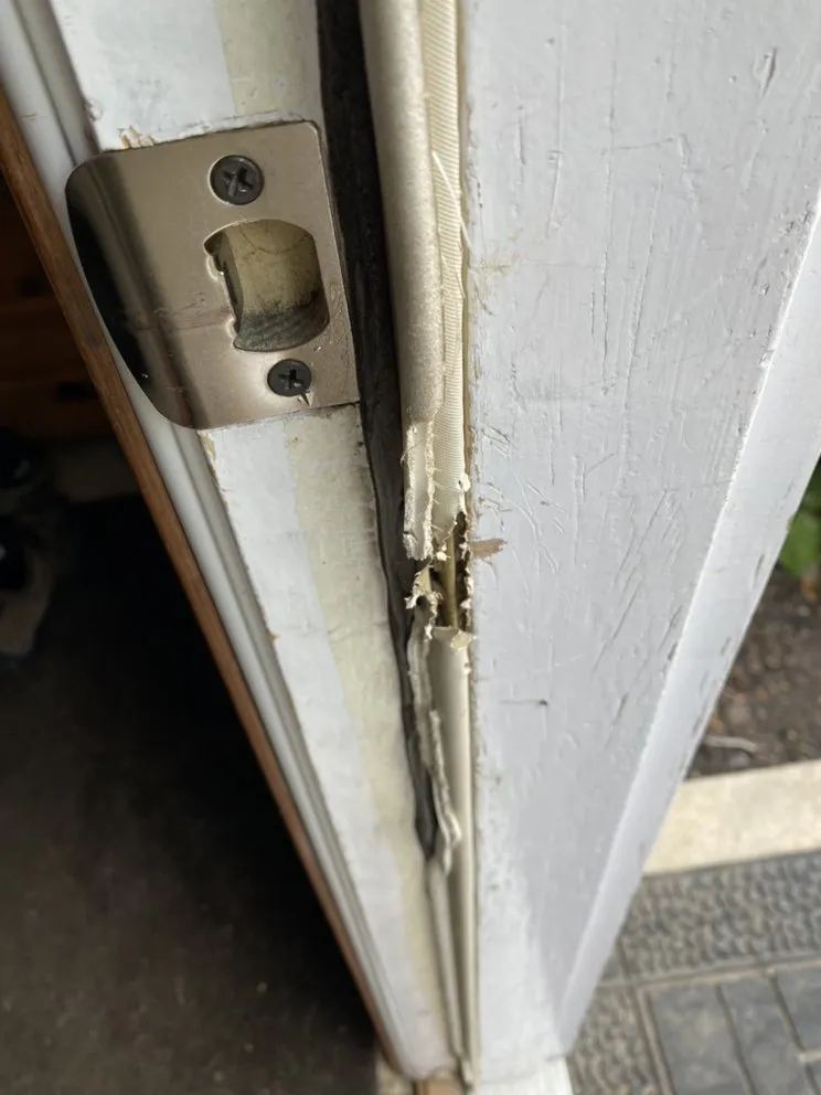 Professional lawn care service with custom design across Edina, MN - Implied Task