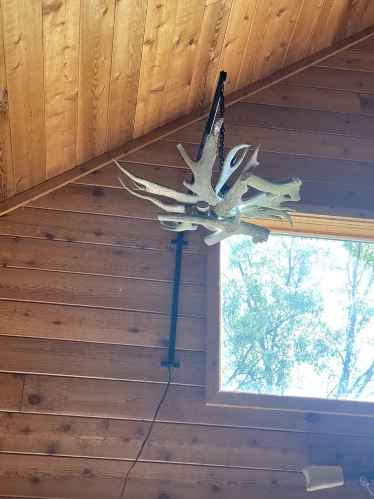 Custom yard cleanup service for homes in Edina, MN by Implied Task