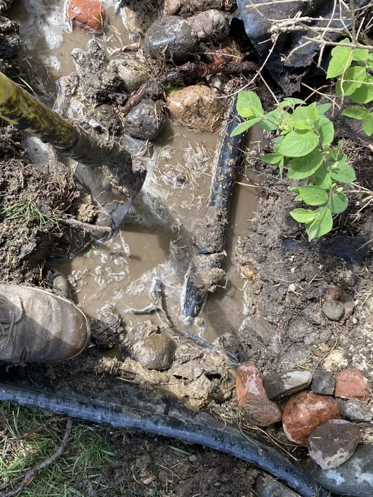 Custom residential landscaping in Edina, MN - Implied Task