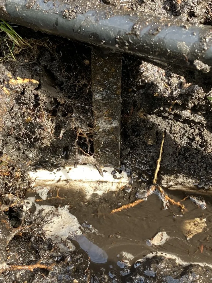 Expert garden landscaping in Edina, MN - Implied Task