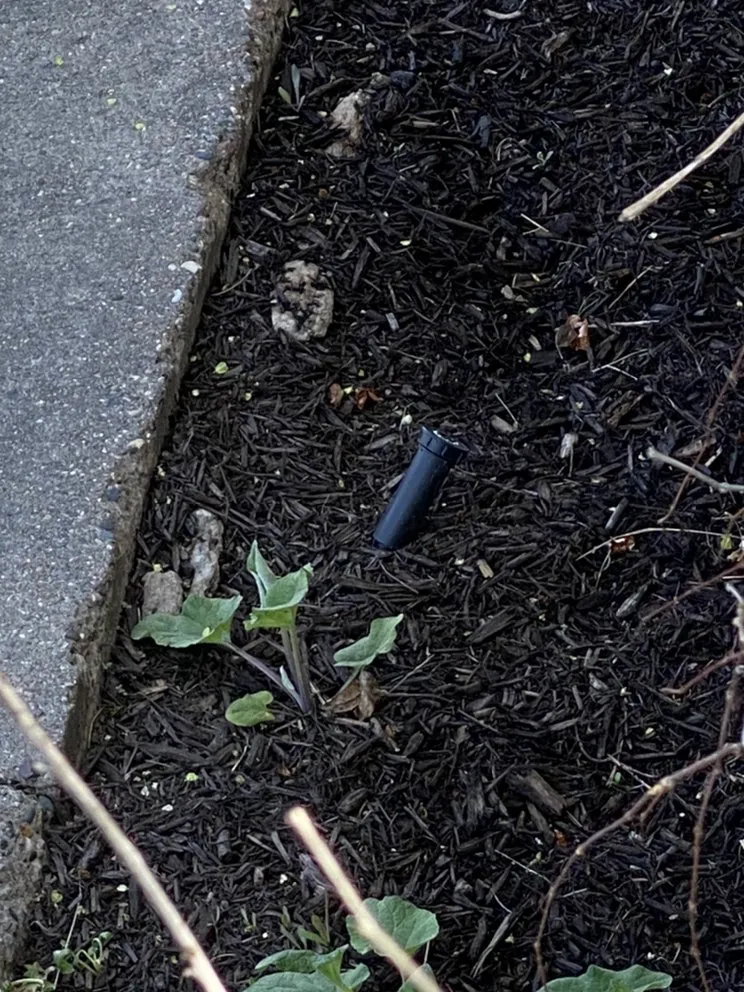 Expert yard cleanup service for beautiful yards across Edina, MN - Implied Task