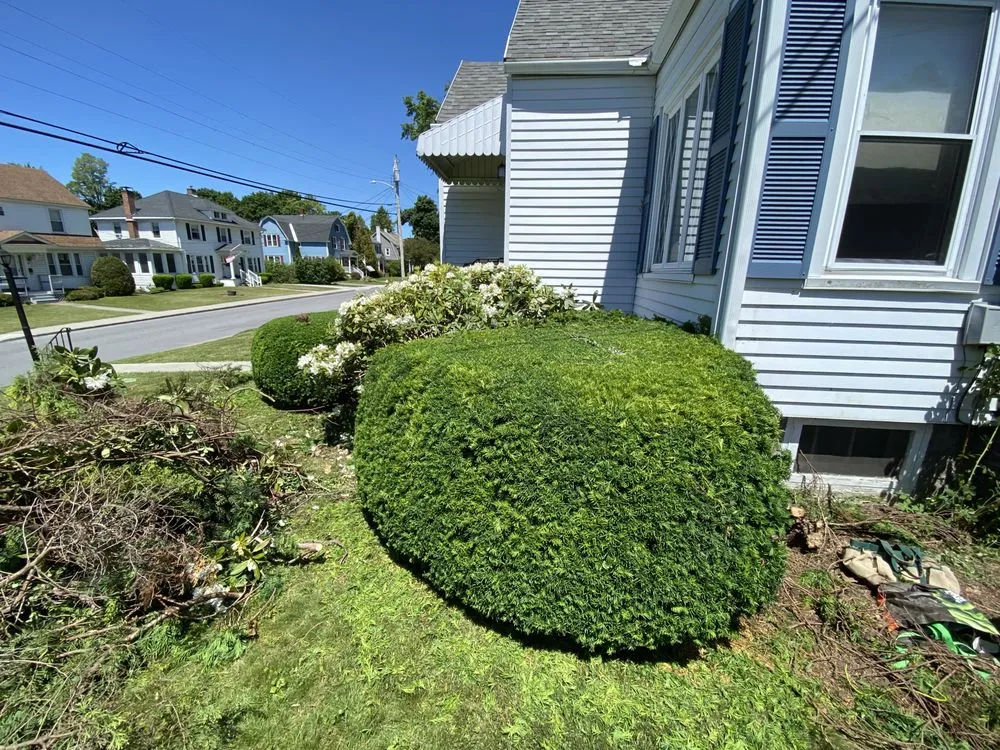 Local yard cleanup service for outdoor upgrades across Rutland, VT - Impressions Earth Works