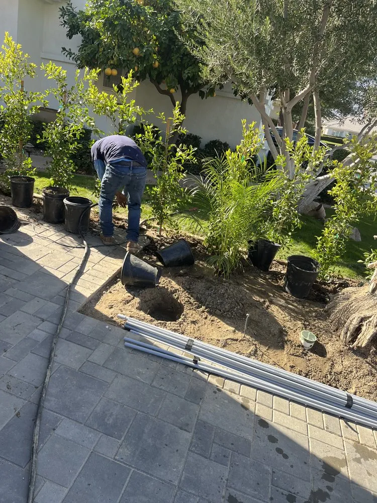 Affordable lawn care service in Indio, CA - Impressive Landscape