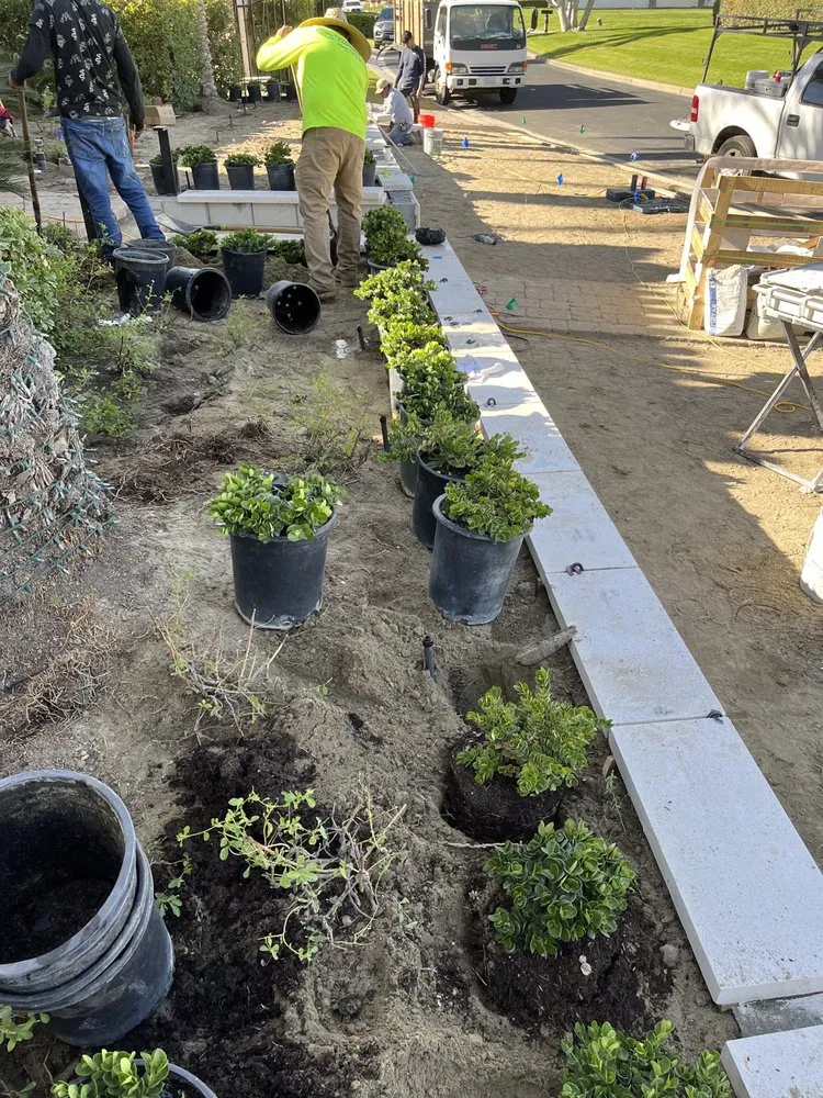 Top-rated lawn care service experts serving Indio, CA - Impressive Landscape