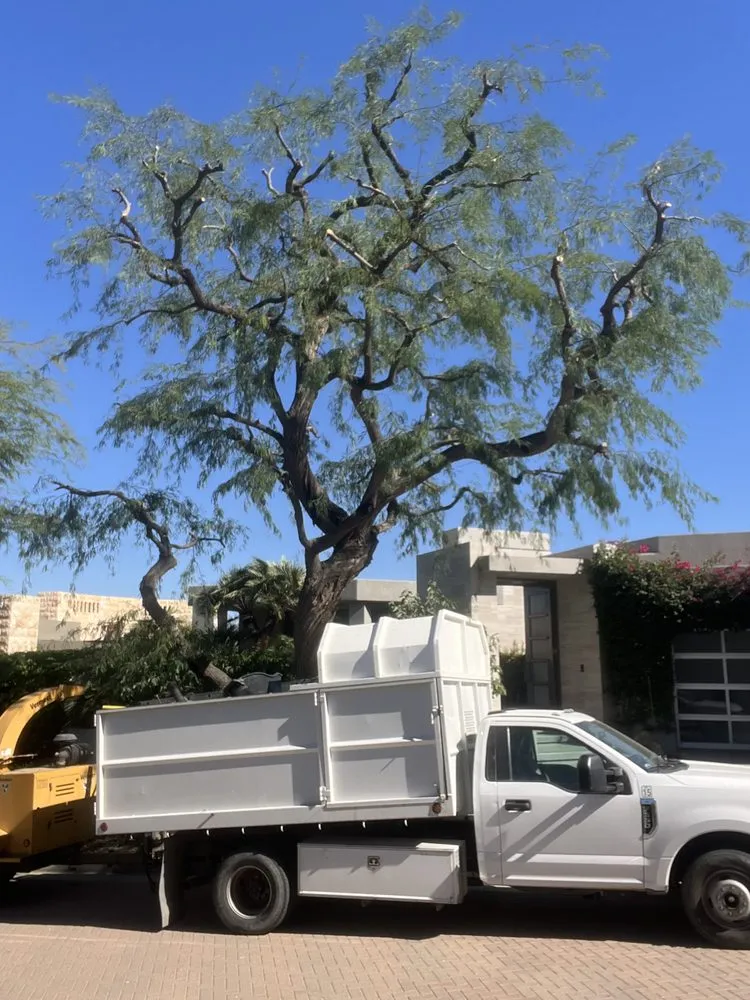 Professional yard maintenance experts serving Indio, CA - Impressive Landscape