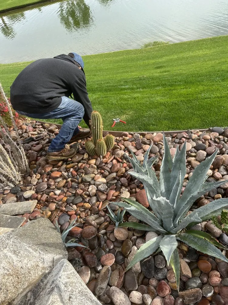 Professional landscaping services for year-round maintenance across Indio, CA - Impressive Landscape