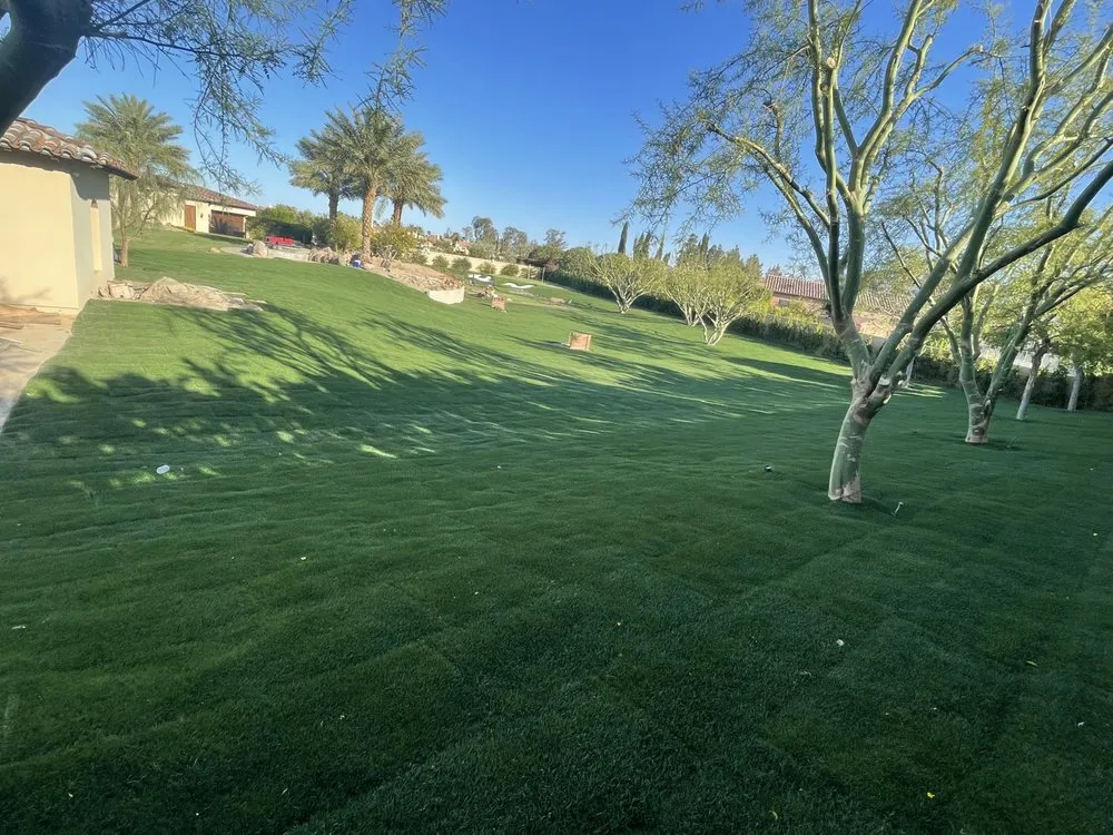 Local yard cleanup service in Indio, CA - Impressive Landscape