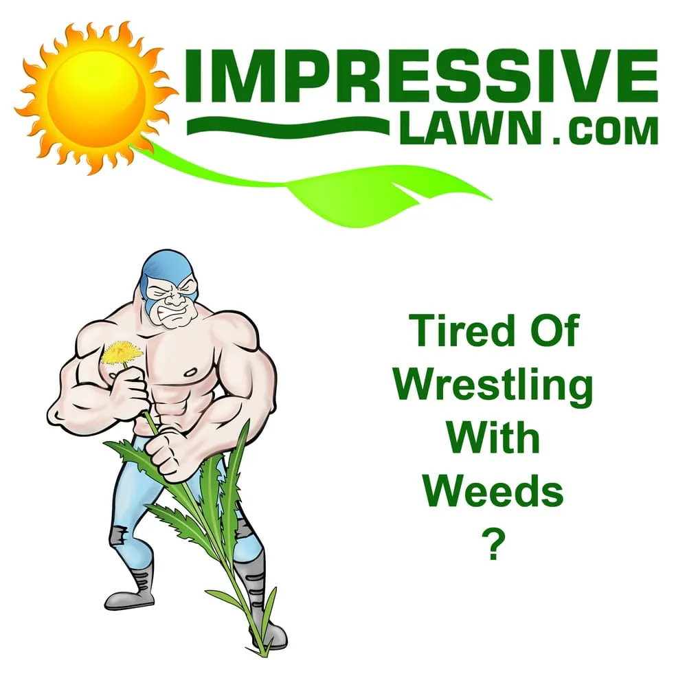 Local lawn care service for residential properties across Fishers, IN - Impressive Lawn Care