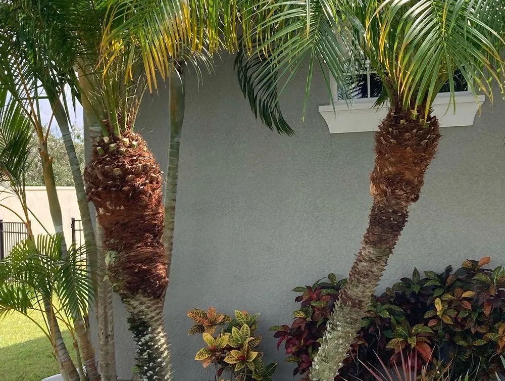 Custom residential landscaping in Mims, FL by Impressive Lawns