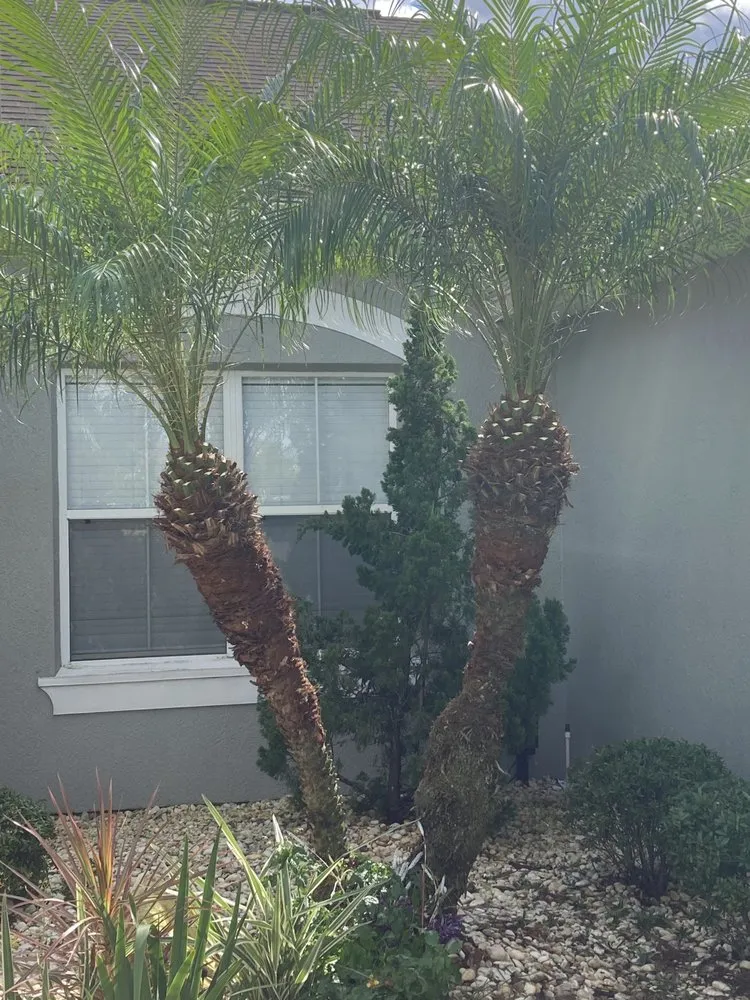 Custom landscape design in Mims, FL - Impressive Lawns