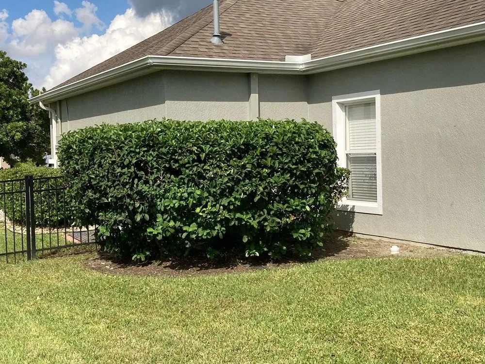 Trusted garden landscaping for outdoor upgrades in Mims, FL by Impressive Lawns