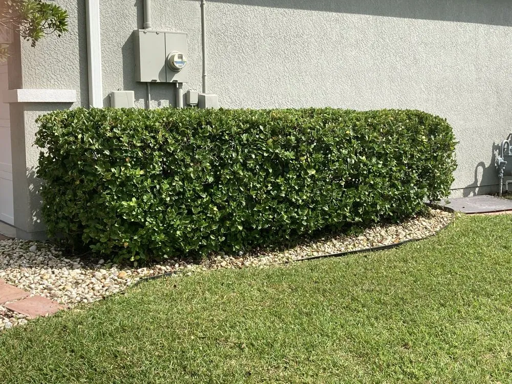 Local outdoor landscaping with custom design across Mims, FL - Impressive Lawns