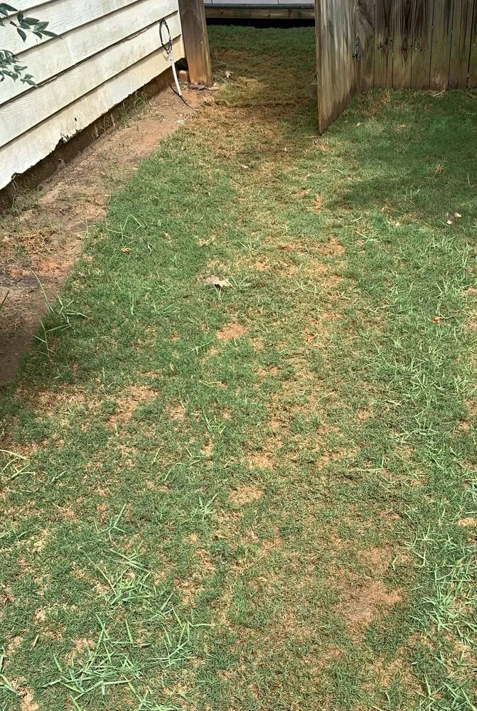 Trusted lawn care service in Snellville, GA - Improved Landscape