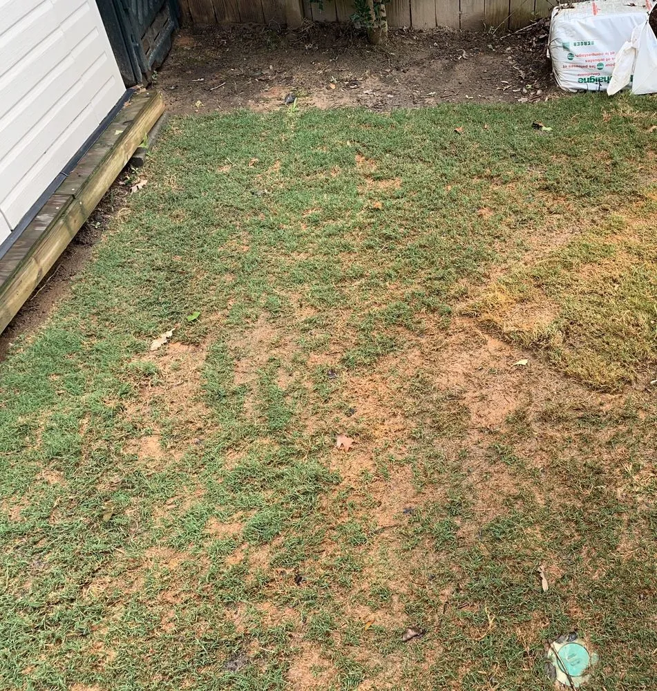 Local lawn care service experts serving Snellville, GA - Improved Landscape