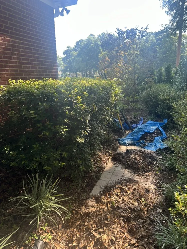 Expert landscape installation in Spanish Fort, AL - Improvements R Us