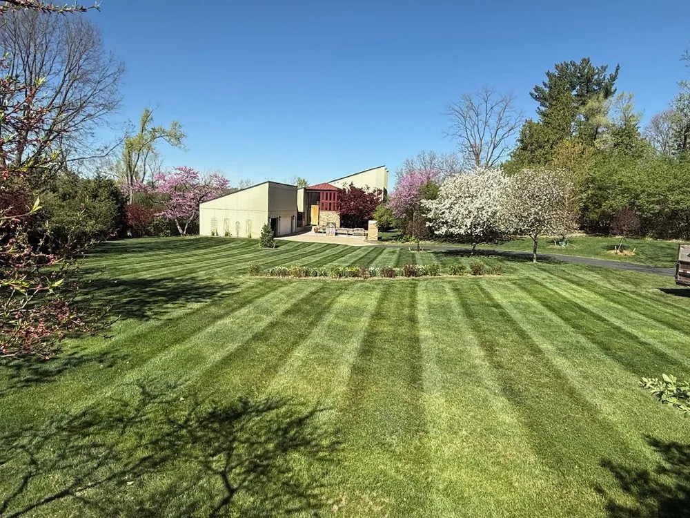 Professional yard maintenance in Houston, TX by IMRTL Landscaping