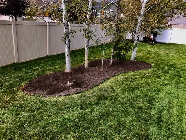 Affordable lawn care service for residential properties across Brigham City, UT - IMT companies