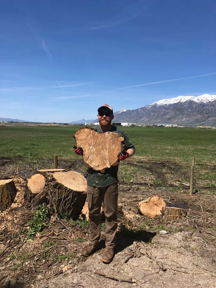 Trusted yard cleanup service for year-round maintenance across Brigham City, UT - IMT companies