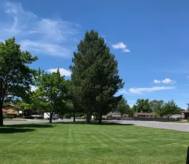 Trusted yard maintenance in Tremonton, UT - IMT Companies