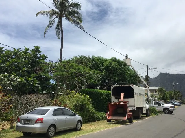 Affordable residential landscaping experts serving Pearl City, HI - Imua Landscaping