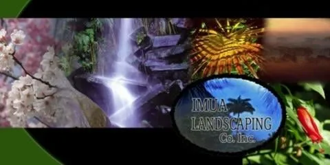 Expert yard maintenance near you in Pearl City, HI by Imua Landscaping
