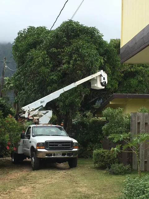 Local yard maintenance with custom design across Pearl City, HI - Imua Landscaping