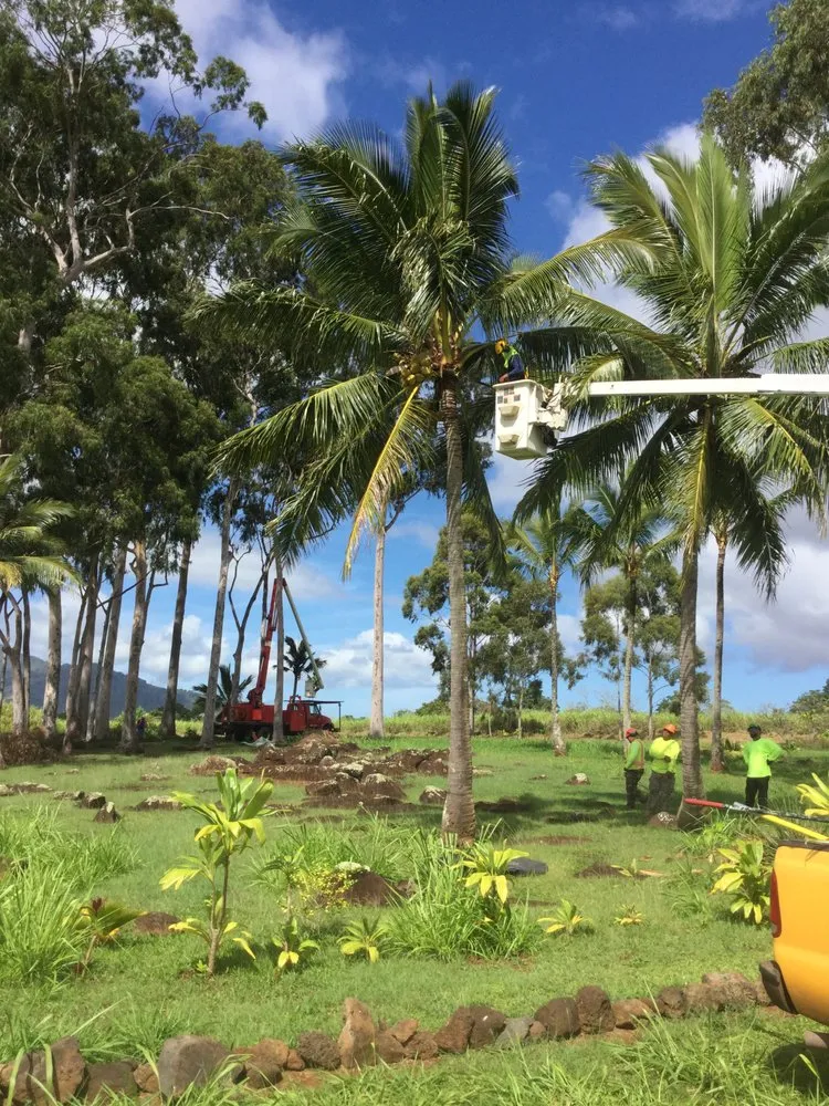 Top-rated yard maintenance experts serving Pearl City, HI - Imua Landscaping