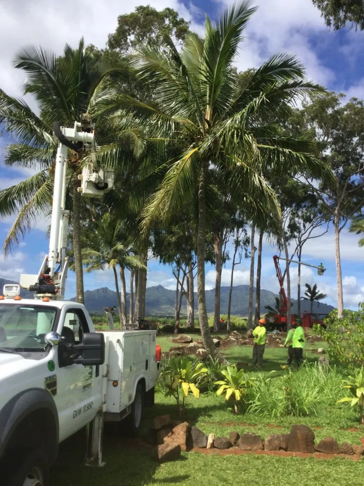Local lawn mowing service in Pearl City, HI - Imua Landscaping