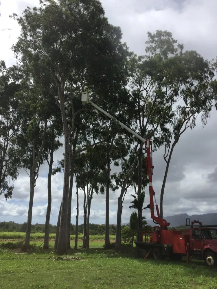 Custom outdoor landscaping in Pearl City, HI by Imua Landscaping