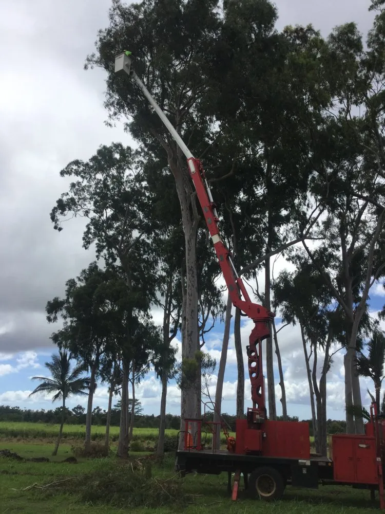 Trusted lawn mowing service for homes across Pearl City, HI - Imua Landscaping