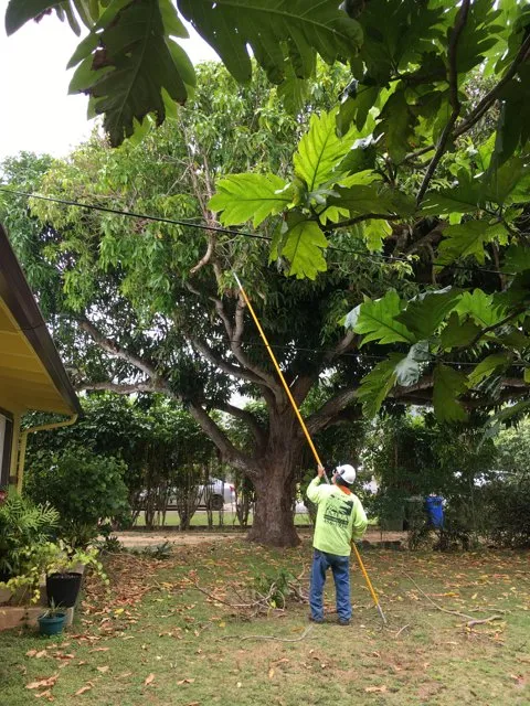 Trusted lawn care service experts serving Pearl City, HI - Imua Landscaping